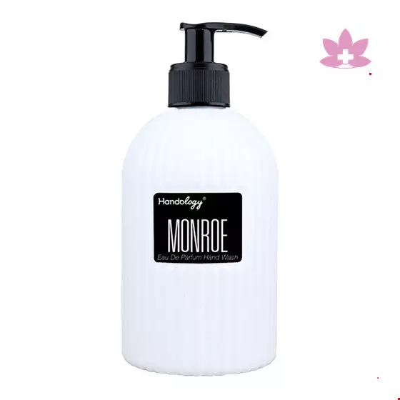 Handology Monro Perfum Hand Wash 480ml
