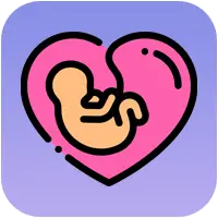 دسته بندی باروی